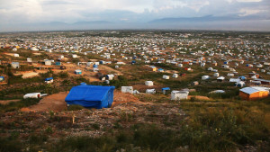 haiti camps